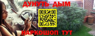 шишки Изобильный