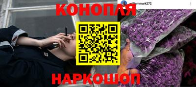 гидропоника Ирбит