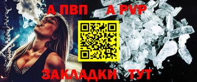 шишки Изобильный
